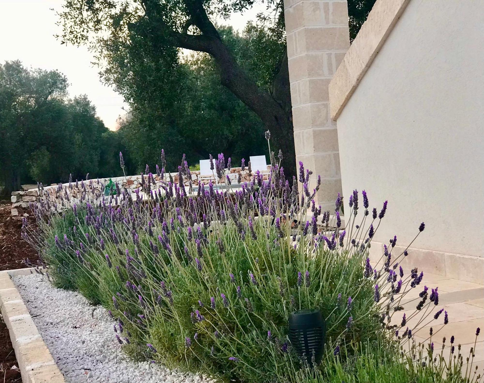 Tenuta La Pomona Ostuni Exterior foto